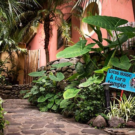 Villa Sumaya Santa Cruz La Laguna Eksteriør billede